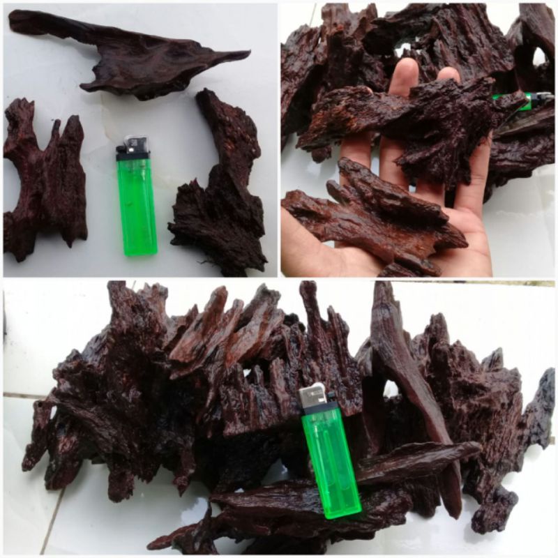 Kayu rentek mini tenggelam aquascape, predator, paludarium