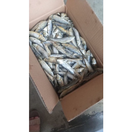 

ikan asin rebus tanjan besar khas lampung 500 g