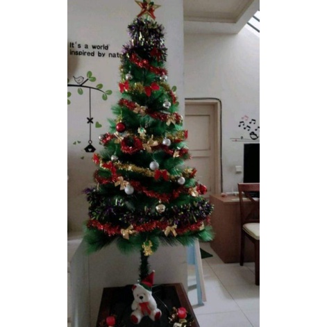 pohon natal Cemara kipas 2 meter