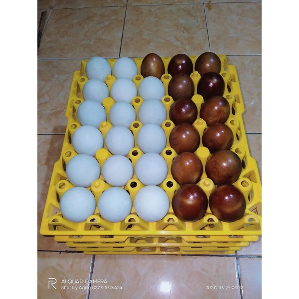 

Telur Asin Bakar / Panggang / Asap dan Rebus