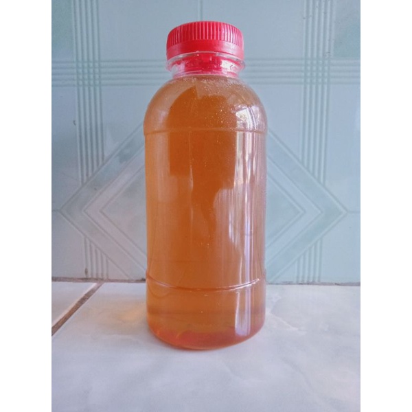 

Madu Murni Asli langsung dari Peternak Lebah