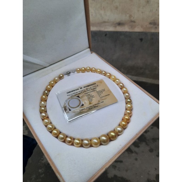 Kalung full mutiara air laut gold kalung mutiara laut kalung mutiara