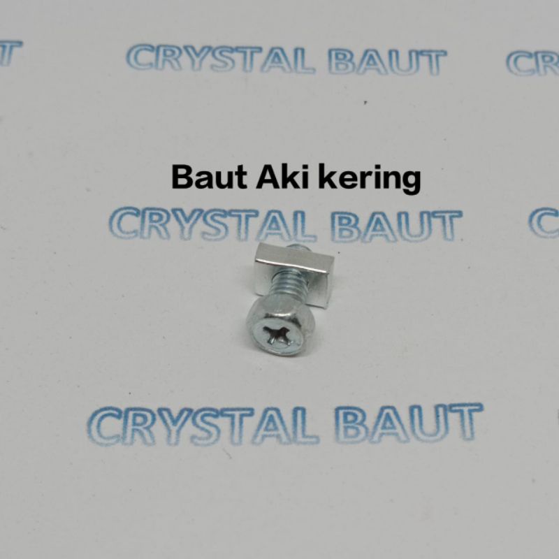 Baut Aki Kering atau Baut Aki Kotak M5x10mm Sama Mur kotak