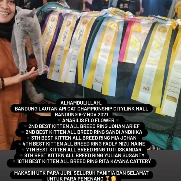 CAT RAW FOOD PUYUH GILING