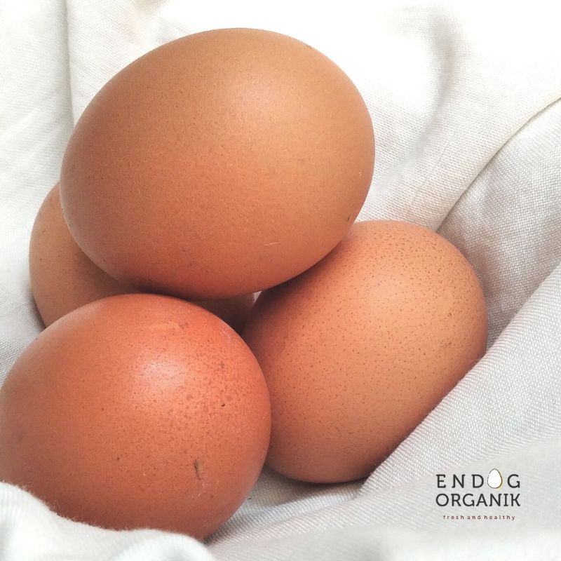 

Telur Organik