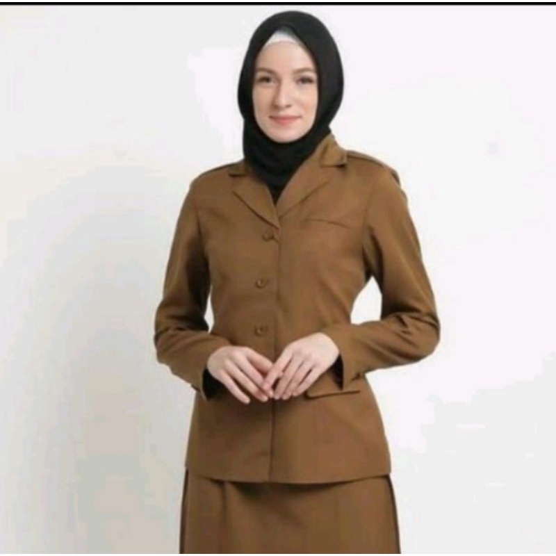 atasan Pemda tua PNS ASN guru