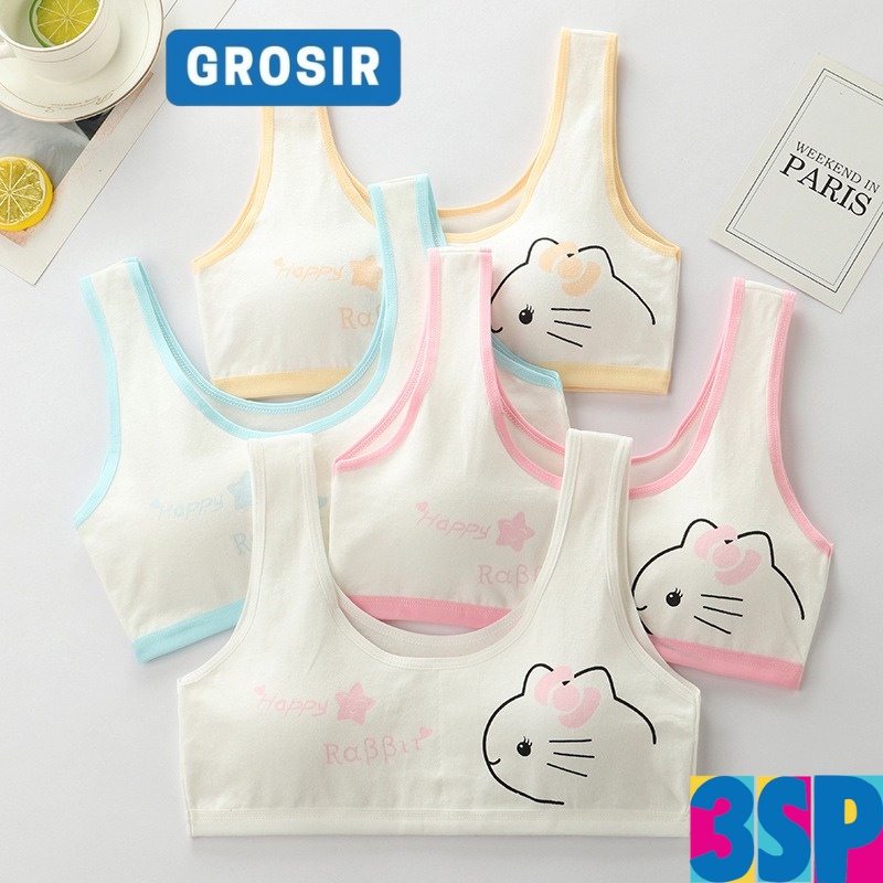 3SP | UWR68 Miniset Remaja Pakaian Dalam Anak Perempuan SD SMP Pelajar Motif Kartun