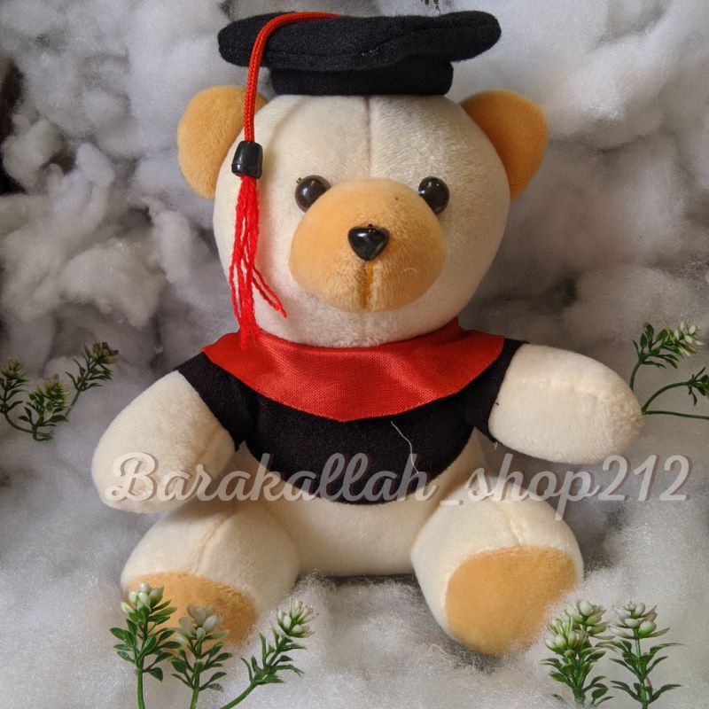 Jual Beneka Wisuda Boneka Buket Boneka Wisuda Mini Shopee Indonesia