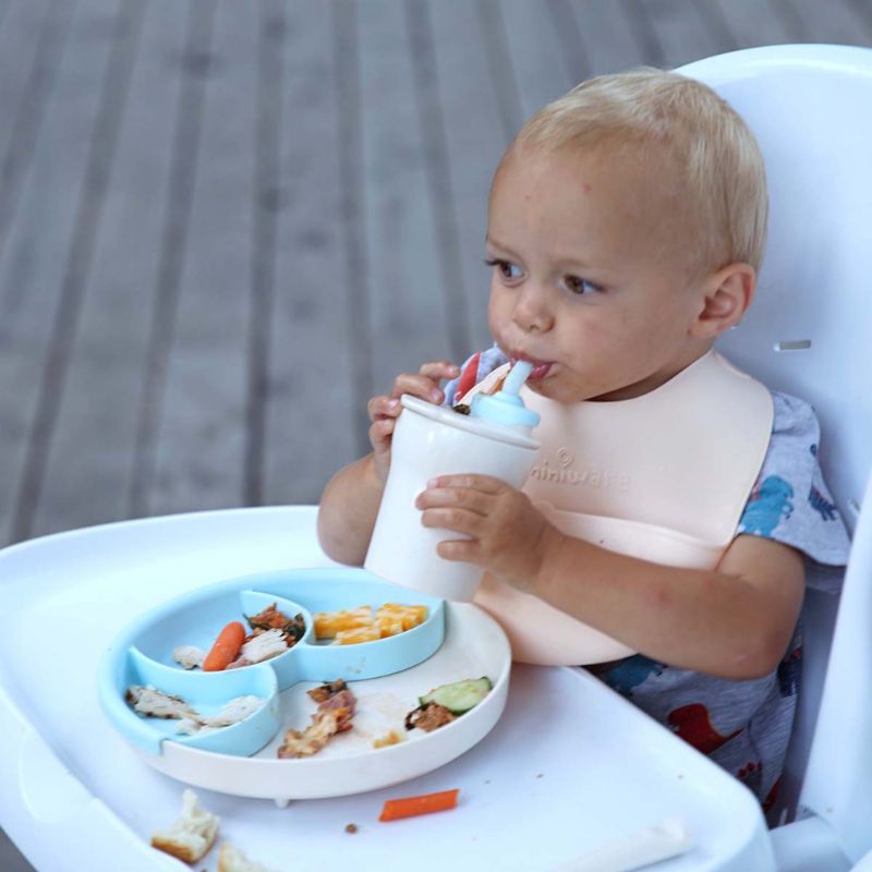 Miniware Healthy Meal Seat - Piring Sekat Anak