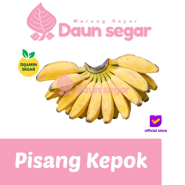 

Pisang Kepok Kuning Merah Matang Fresh - Pisang goreng Kripik pisang