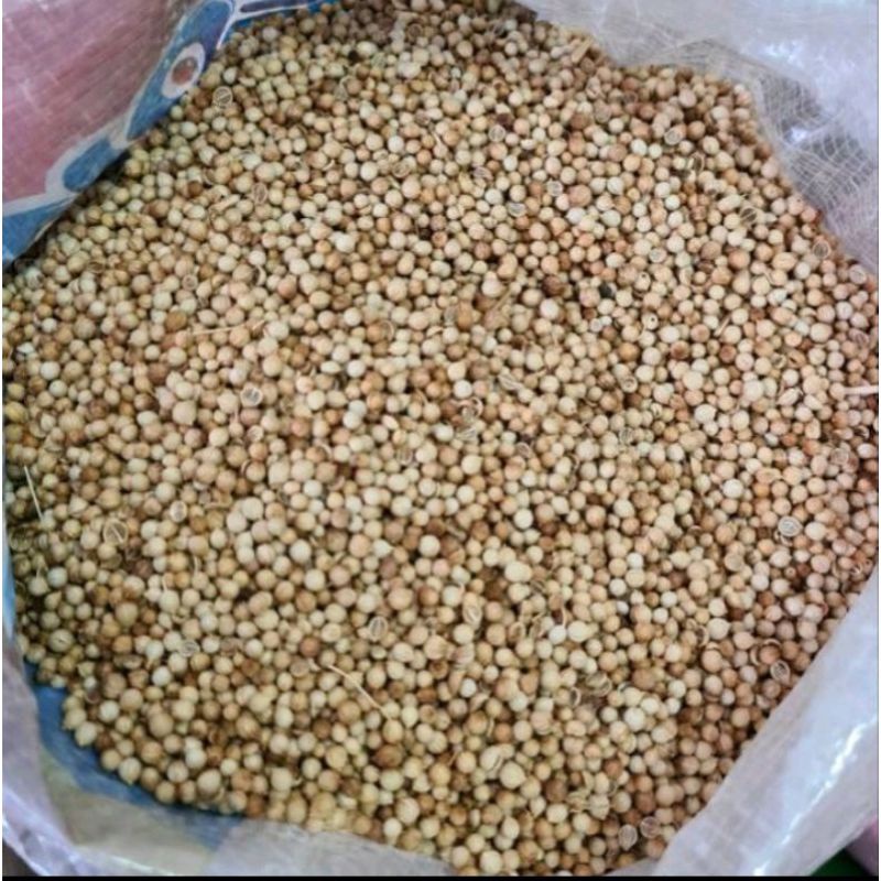 

ketumbar putih premium