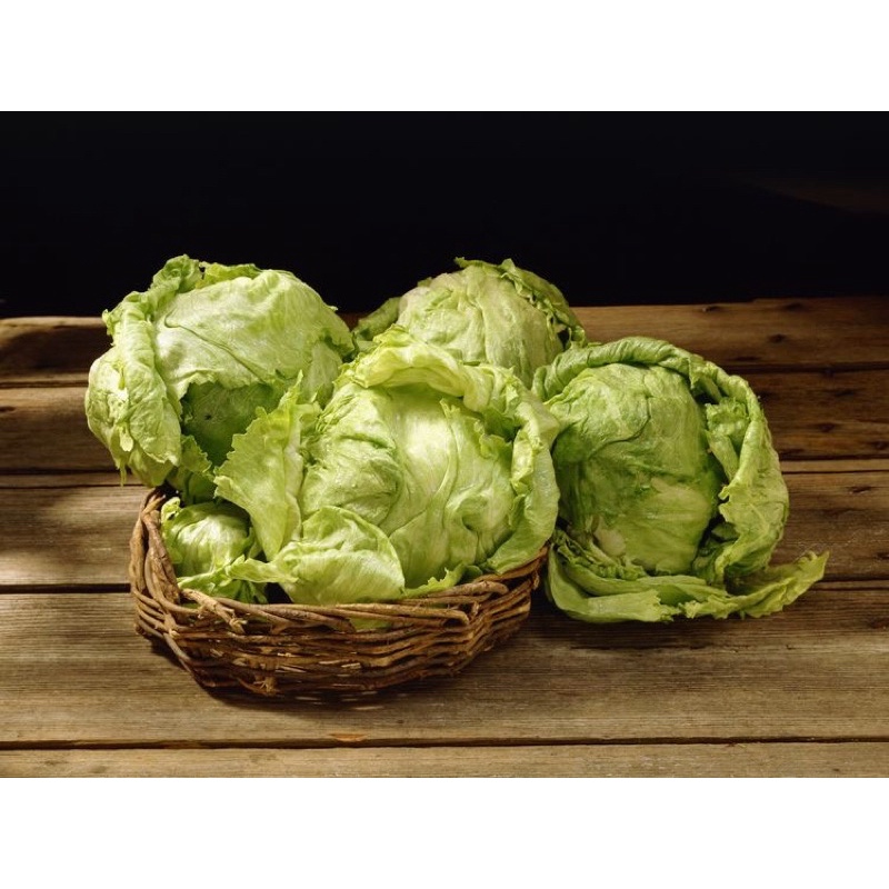 

Lettuce 1 Bonggol 200-250 Gram