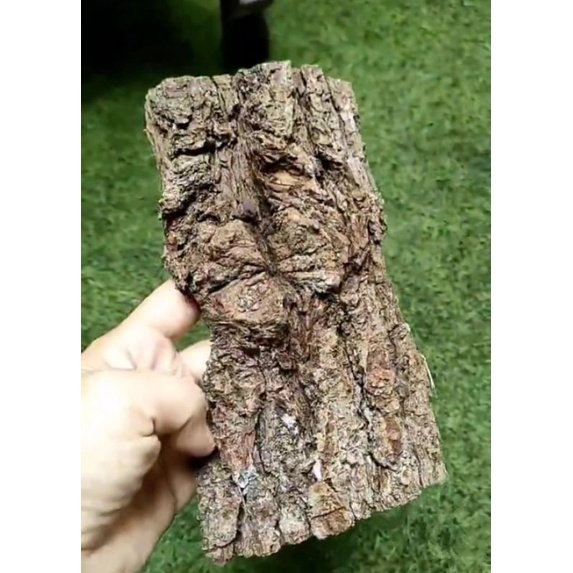 PAPAN KULIT PINUS - MEDIA TANAM - MEDIA ANGGREK