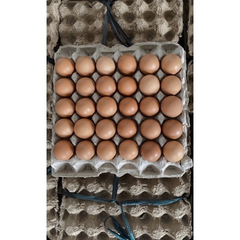 

Telur ayam negri cangkang coklat /1 tray ( 30 butir )