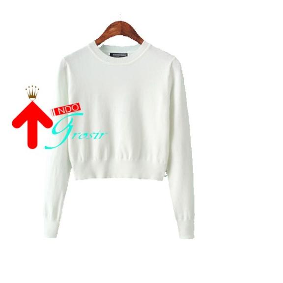 JAKET SWEATER HOODIE CROP POLOS SETENGAH BADAN POLOS