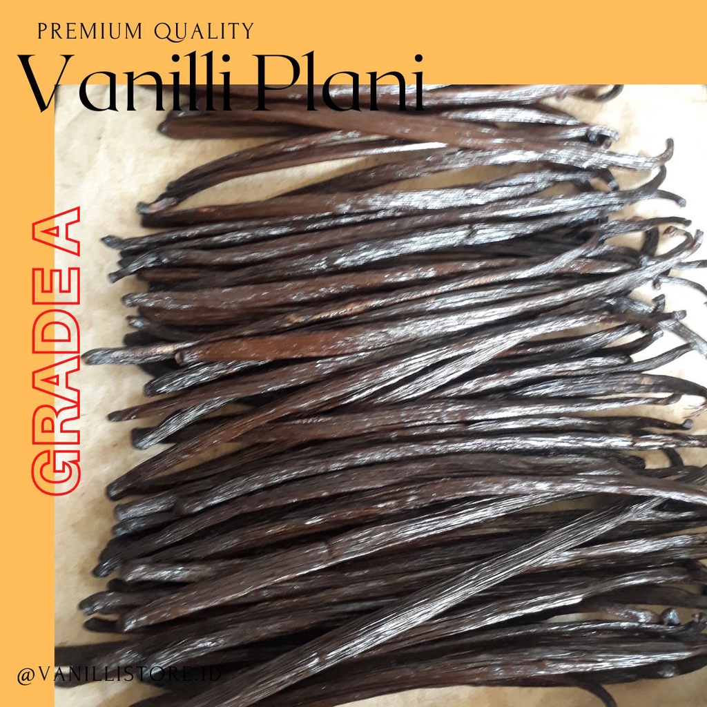 

VANILLA BEAN PLANIFONIA PREMIUM 1 Kg 18 CM |VANILLA GORMET | VANILLI | VANILLA