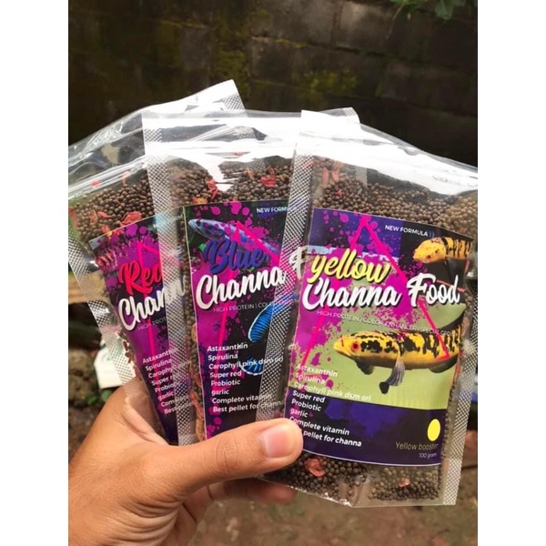 channa food pakan red yellow blue channa food sentarum pulchra barito asiatica limbata sentarum samp