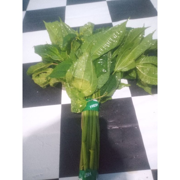 

daun pohpohan 1 iket 250 gr