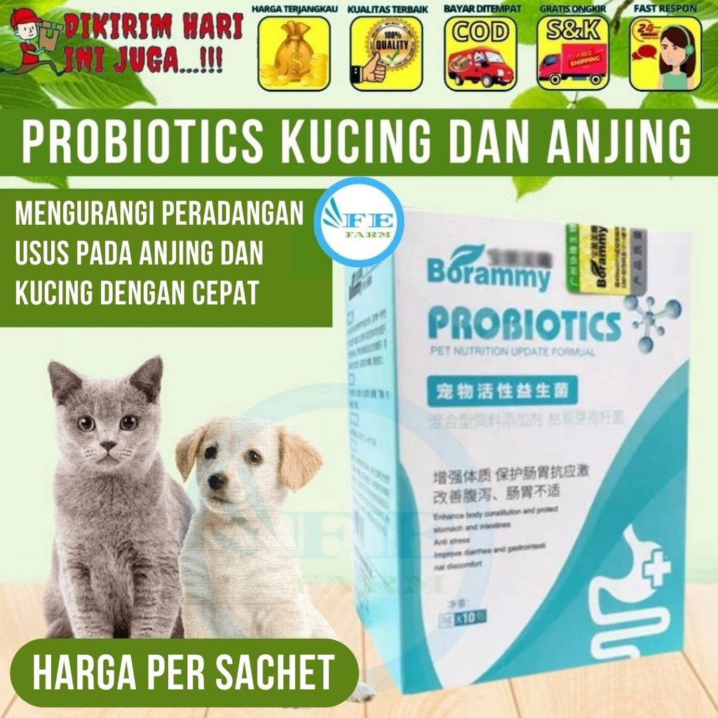 Probiotik Obat Diare Kucing Anjing Per Sachet FEFARM