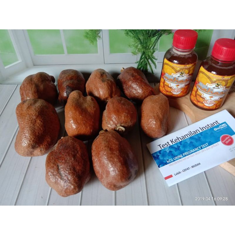 paket 10 buah zuriat +2 botol madu murni mahasin