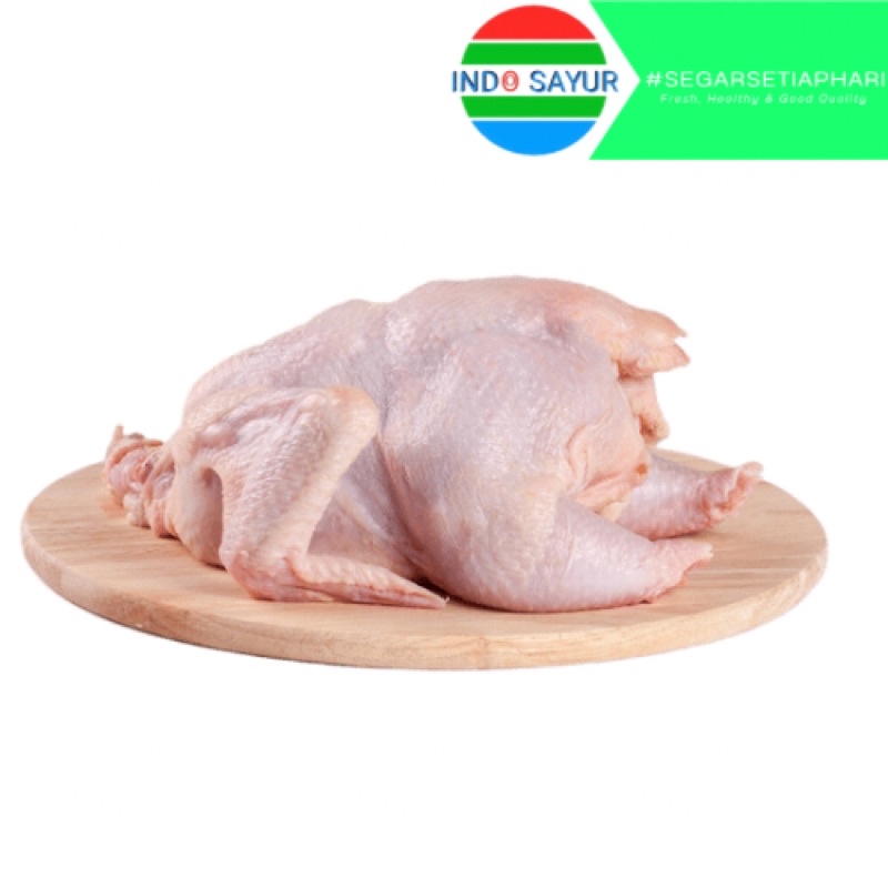 

Ayam Utuh Segar Sedang 1 - 1.3kg