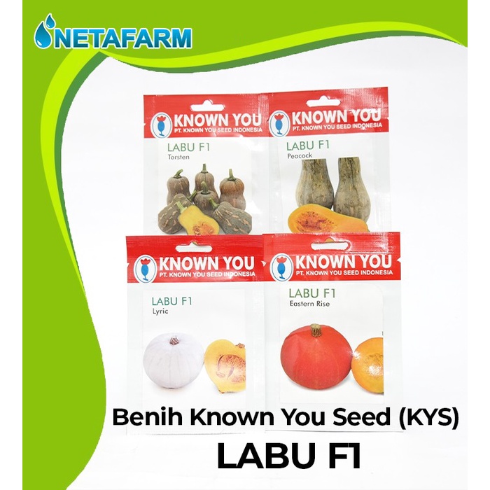Benih / Biji / Bibit KNOWN YOU SEED KYS LABU F1 - 1 Pack
