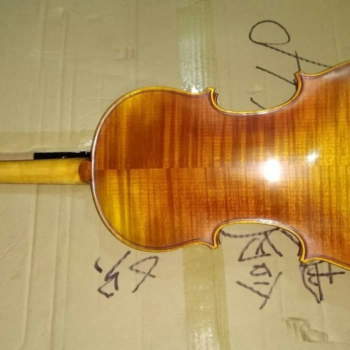 Alat Musik Biola /Violin Scott Cao Stv 500