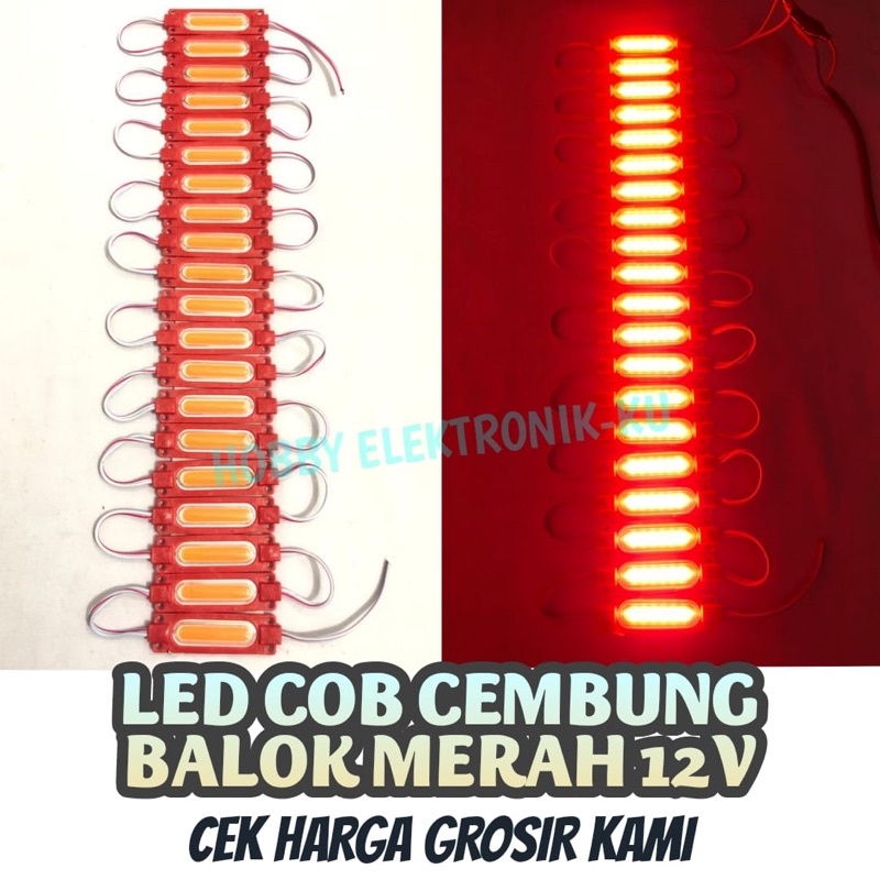 LAMPU LED STRIP MODULE COB 6MATA 12V MERAH