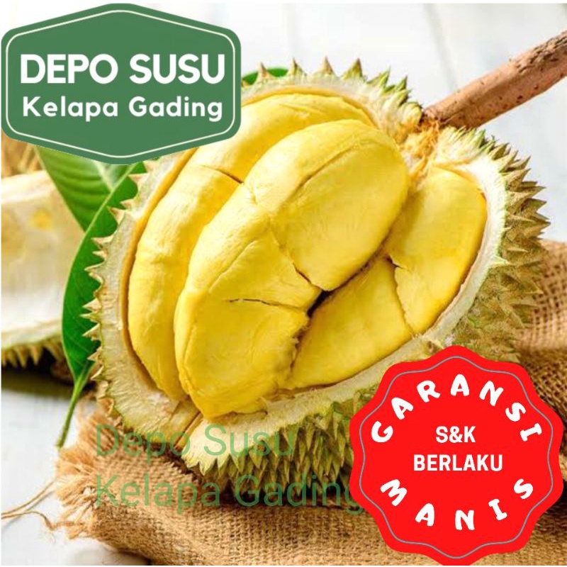 Durian Beku Motong Palu | Musang King | Malaysia D101 Duren Monthong Mochi import Premium Frozen Fresh Segar