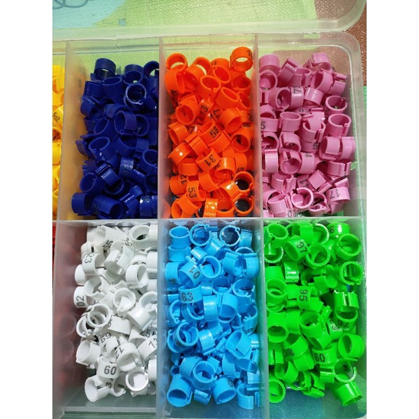 20 butir RING MERPATI KLIP DEWASA