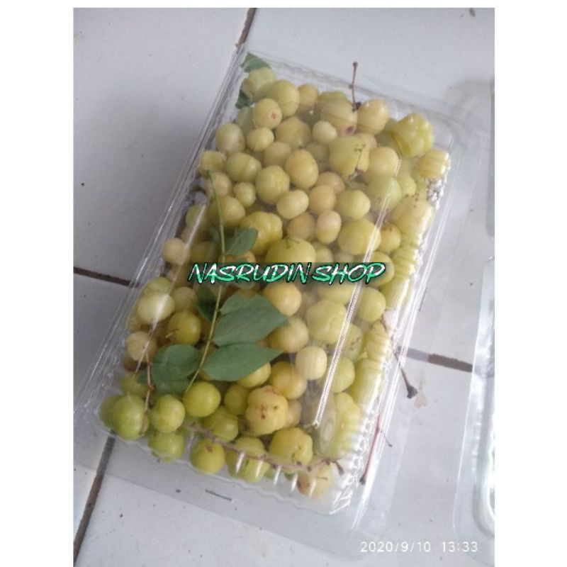 

BUAH CEREMAI SEGAR 1KG / CEREMAI / CREMAI / CAREMAI / CAREME / CERMAI / CERME / RUJAK / PHYLLANTHUS ACIDUS