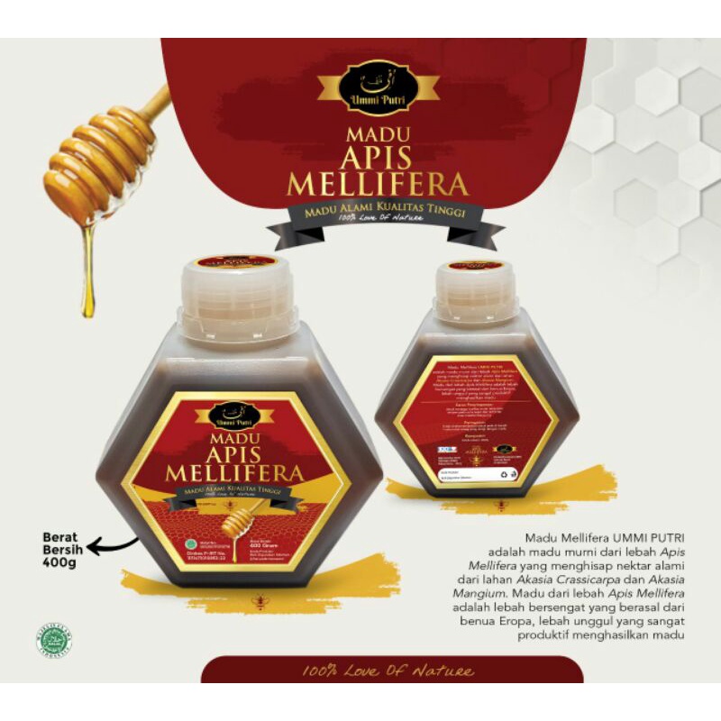 

Madu Apis Melifera