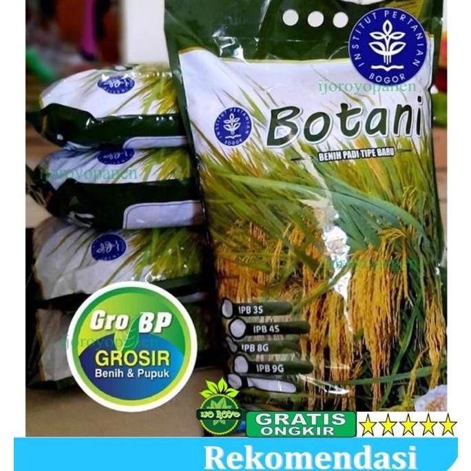 BENIH PADI IPB 3S original 5KG UNGGUL MURAH PREMIUM