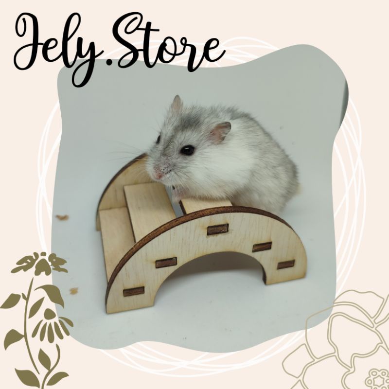 Mainan Jembatan Hamster kecil winter white campbell pearl golden