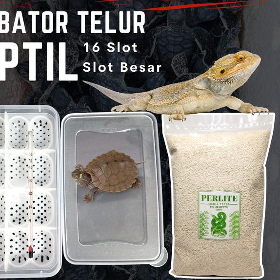 Inkubator Reptil Telur Incubator Egg Gecko Ular Kura Kadal Reptile Egg - Incubator saja