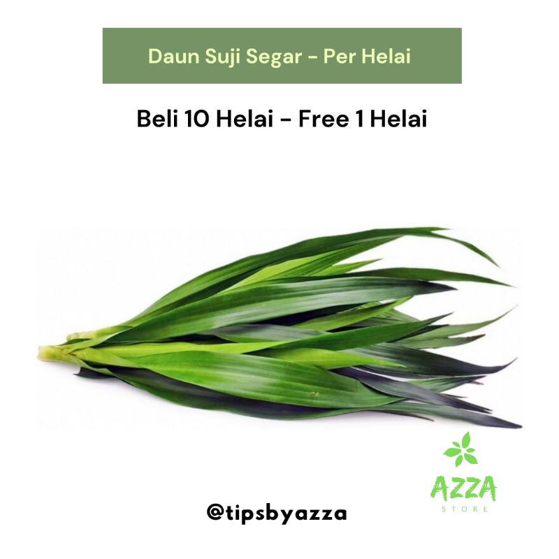 Daun Pandan Segar / Daun Suji Segar / Pewarna Hijau Alami