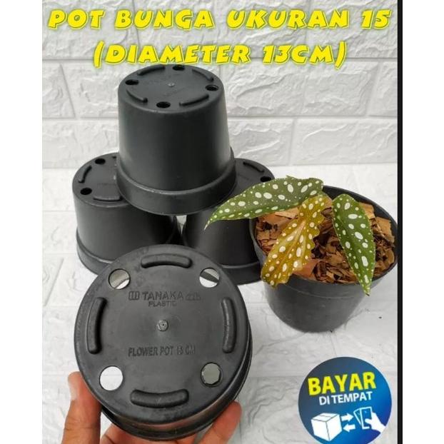 Pot bunga uk 15 (diameter 13cm) isi 1 lusin/ pot plastik/ pot bunga/ pot tanaman/ pot murah