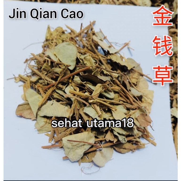 

Jin Qian Cao 100gram / Lysimachia - [ 金钱草 ] - Kim Chian Cho