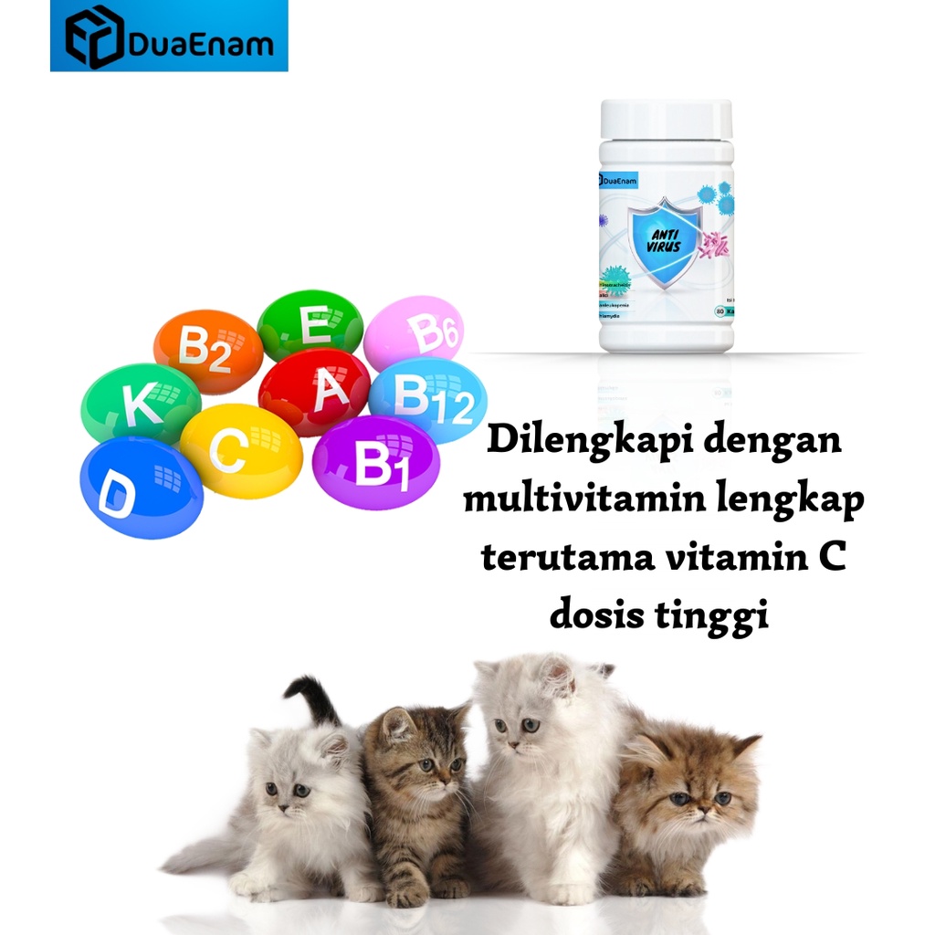 DUAENAM ANTI VIRUS FIP kucing
