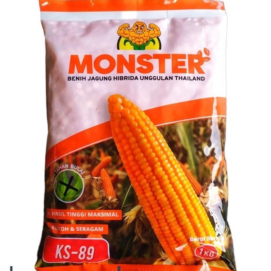 BENIH JAGUNG HIBRIDA KS 89 MONSTER 1 KG