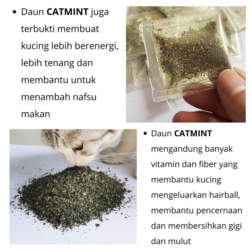 Daun Catnip Bubuk Sachet untuk Kucing 1 Gram FEFARM