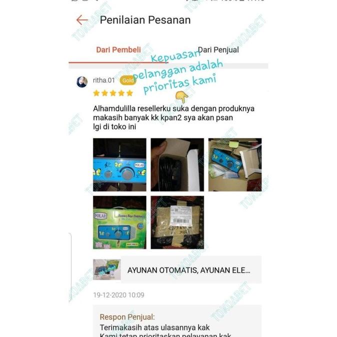 Ayunan Otomatis, Ayunan Elektrik, Ayunan Listrik Bayi Polar Musik