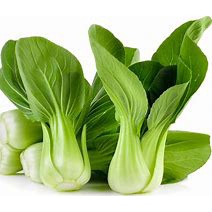 

POK CHOY HIDROPONIK 250 GR