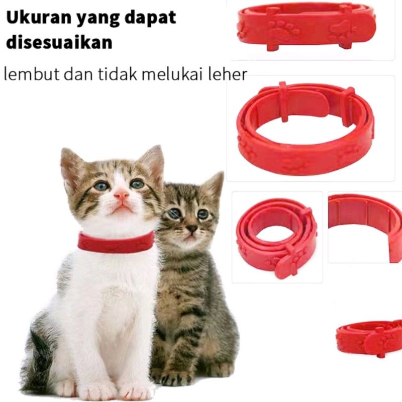 Kalung Anti Kutu Kucing Kelinci Hewan Cat Flea Circle