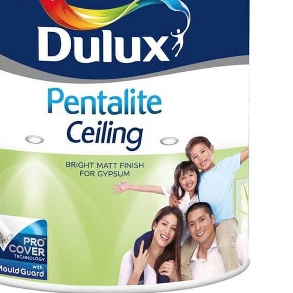 Cat dulux pentalite ceiling 5 kg