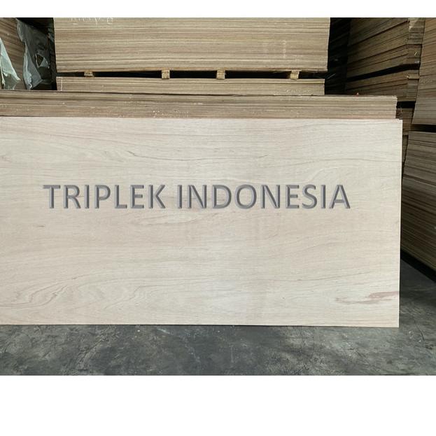 Triplek MERANTI 9mm 122x244cm / Plywood MERANTI 9mm 4x8