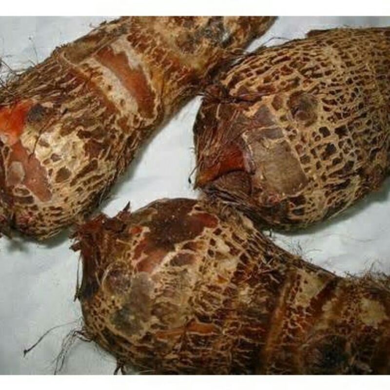 talas kimpul/umbi keladi 1kg