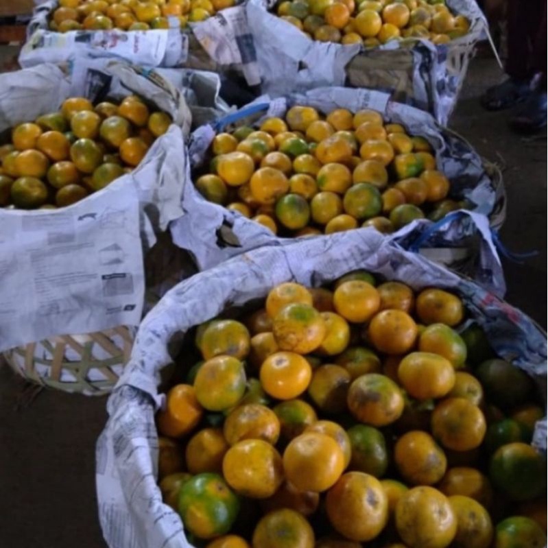 

BUAH JERUK SUPER BESAR MADU MEDAN ASLI MANIS