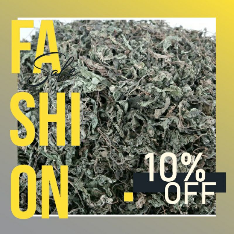 daun insulin kering untuk diabetes 100grm