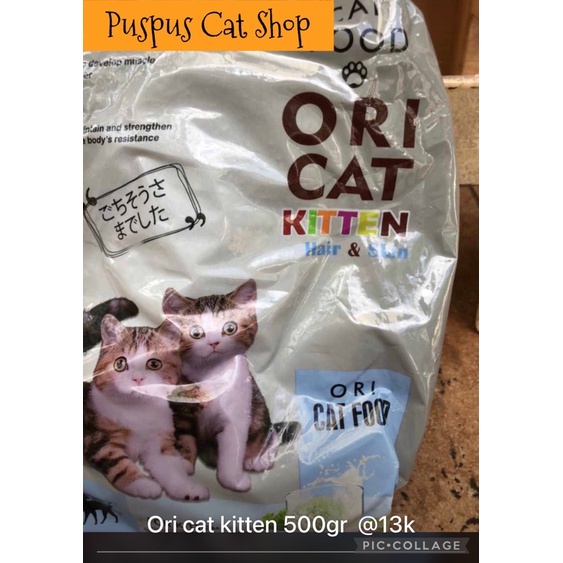 Ori Cat Kitten